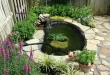 backyard pond