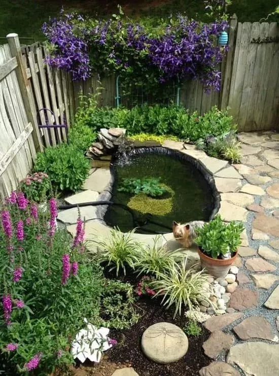 The Beauty and Tranquility of a Backyard Pond