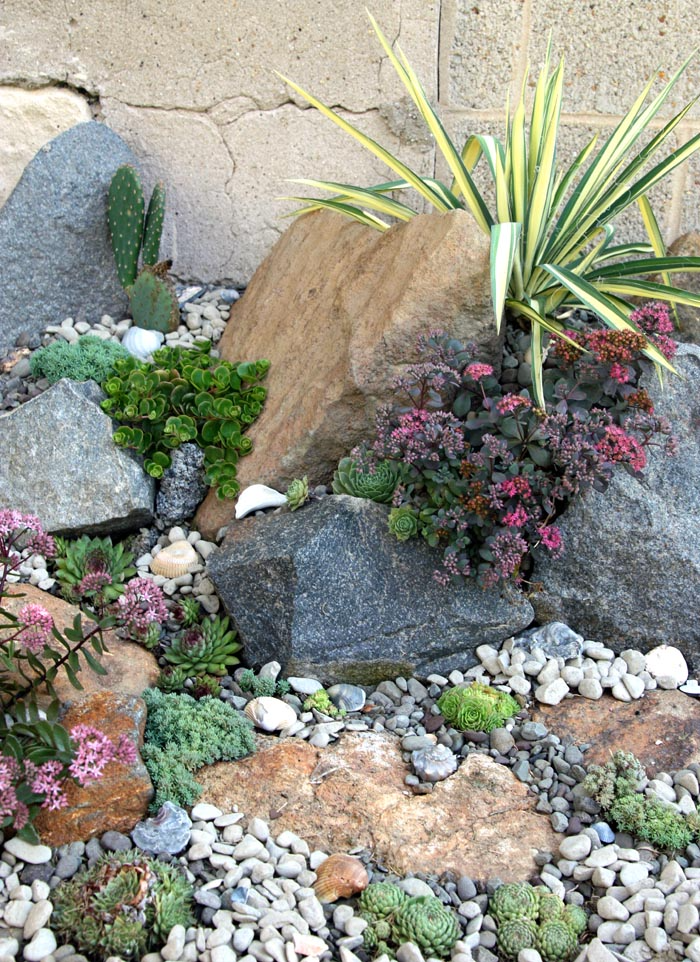 Creating a Tranquil Oasis: The Beauty of Rock Gardens