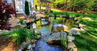 backyard pond