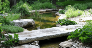 backyard pond