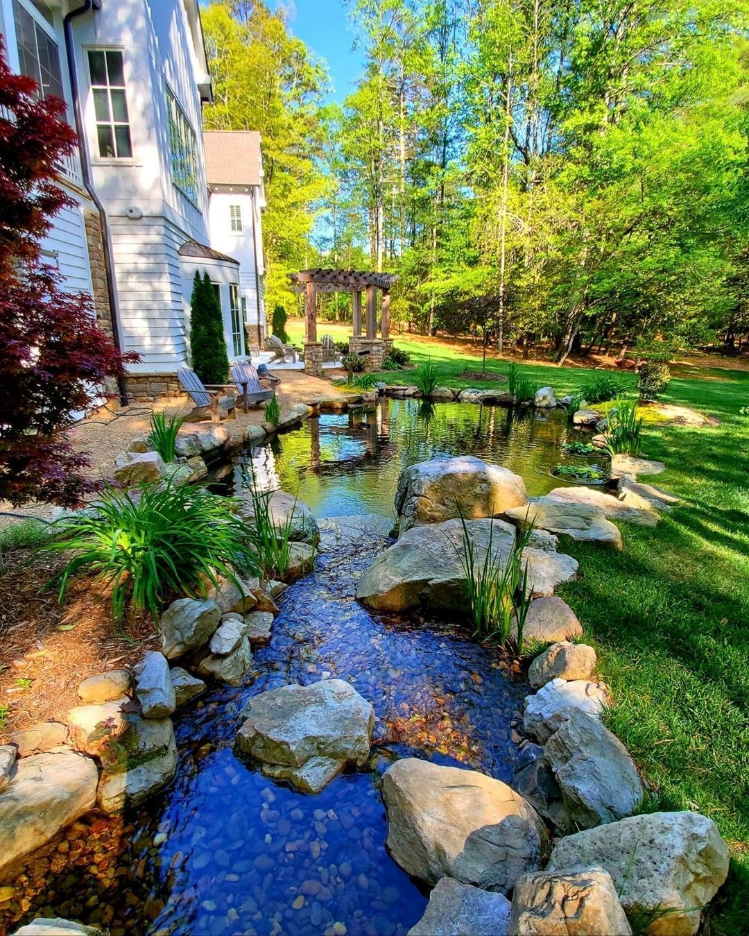 Creating a Tranquil Oasis: The Beauty of a Backyard Pond