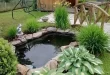 backyard pond