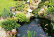 garden pond