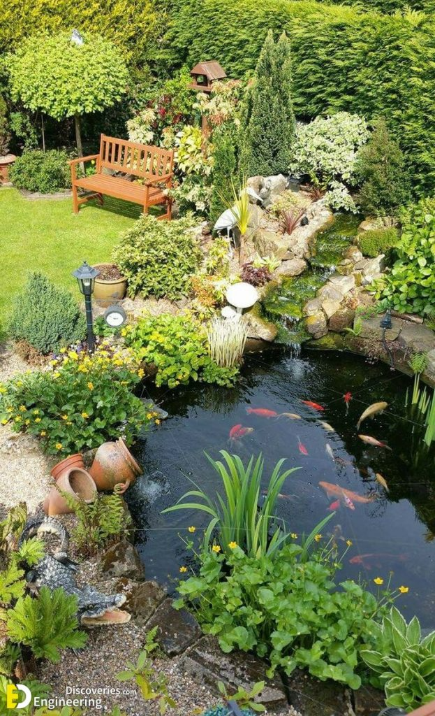 Creating a Tranquil Oasis: The Beauty of a Garden Pond