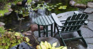 backyard pond