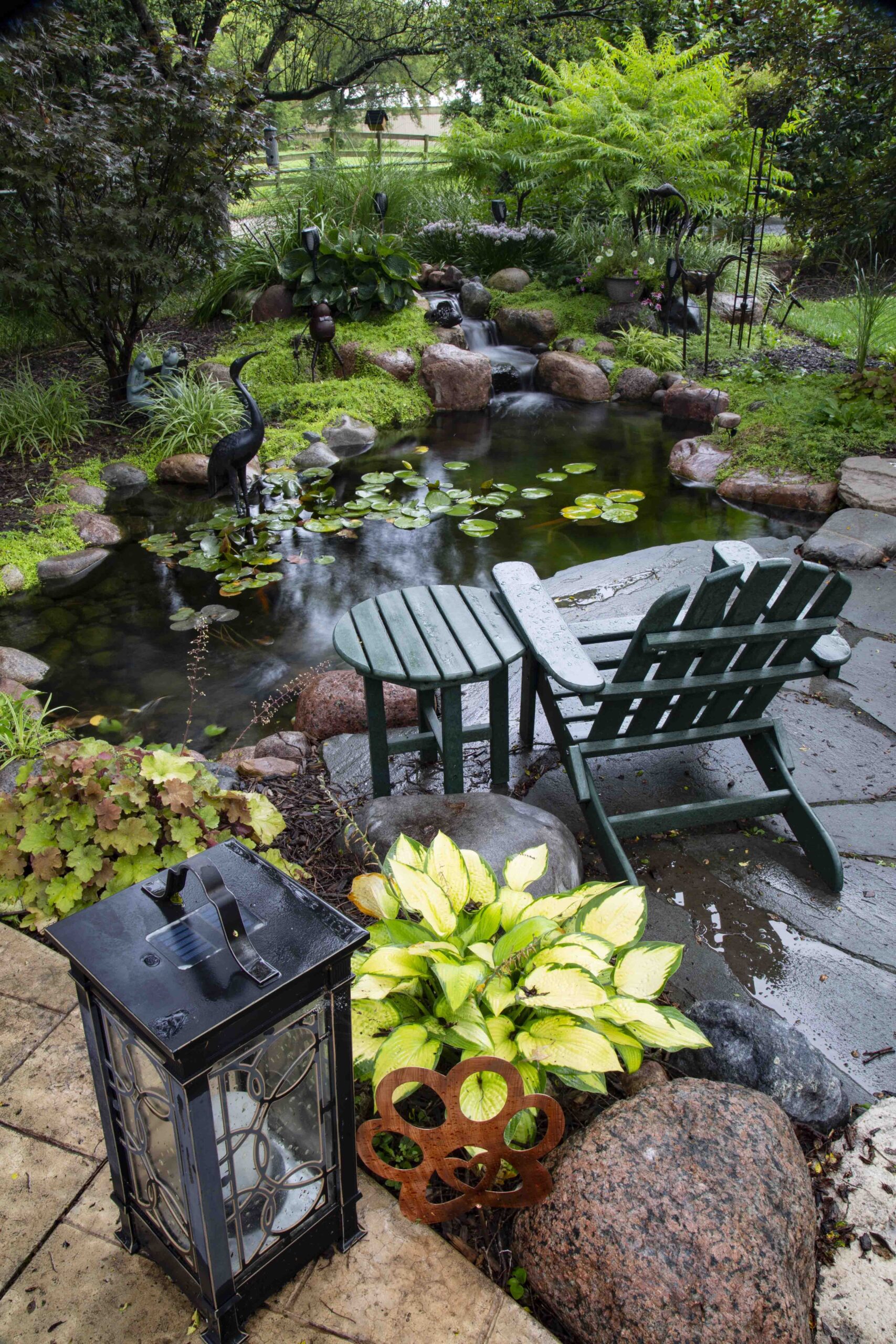 Creating a Tranquil Oasis: The Wonder of Backyard Ponds