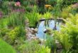 garden pond