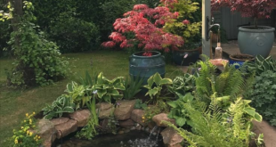 garden pond