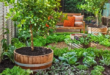 landscaping vegetable garden