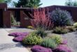 landscaping xeriscape