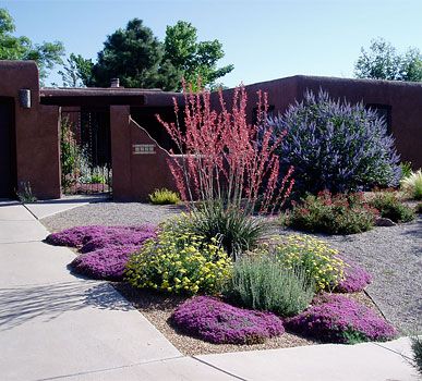 Creating a Water-Efficient Garden with Xeriscape Landscaping