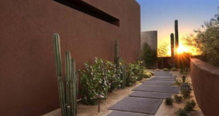 landscaping xeriscape