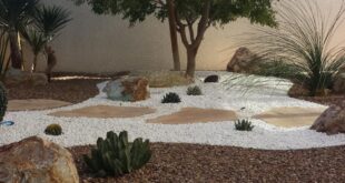 landscaping xeriscape