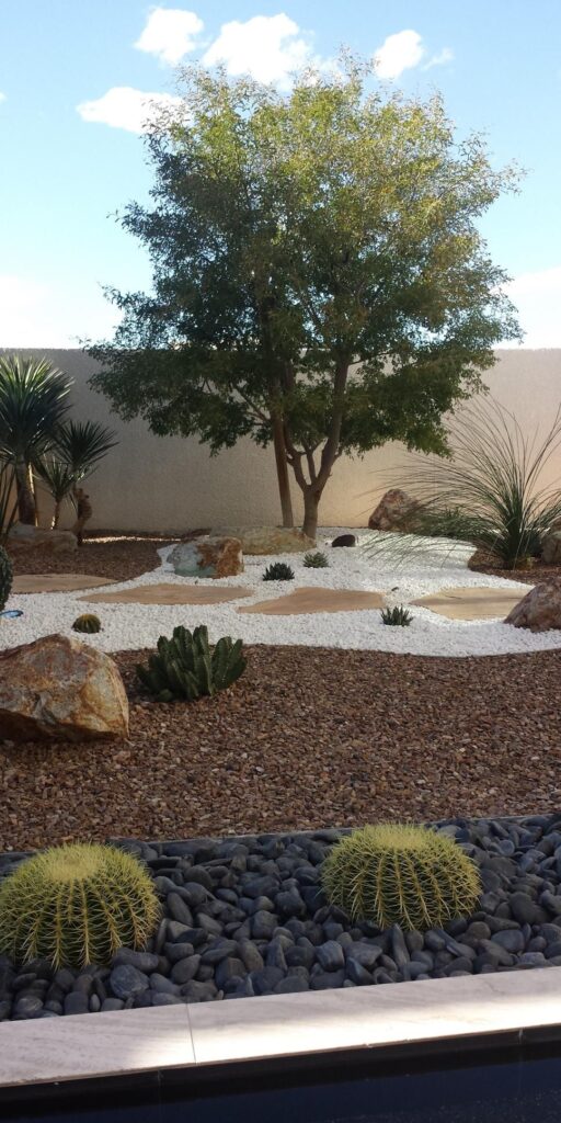 landscaping xeriscape