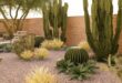 landscaping xeriscape