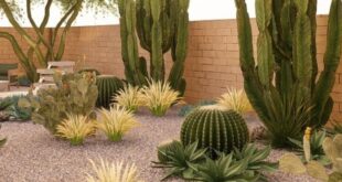 landscaping xeriscape