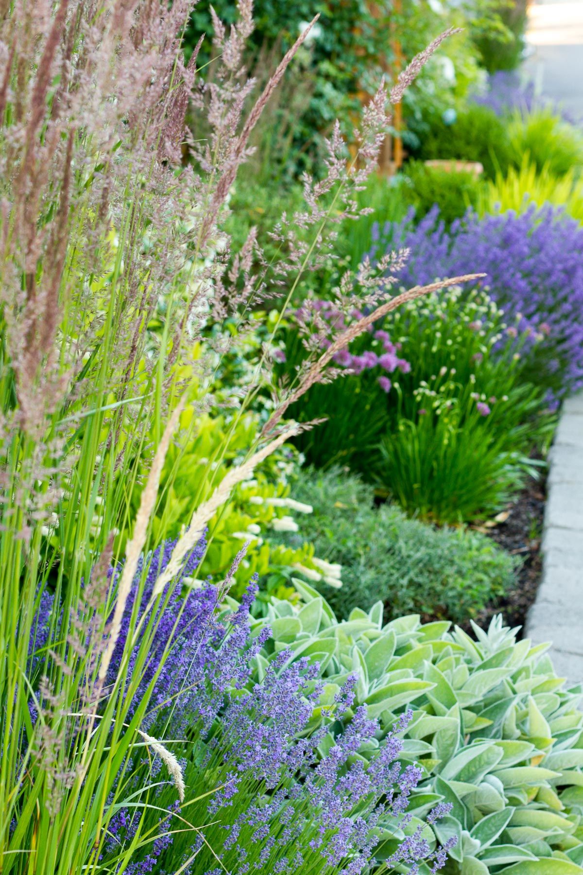 Creating a beautiful front yard garden: tips and inspiration