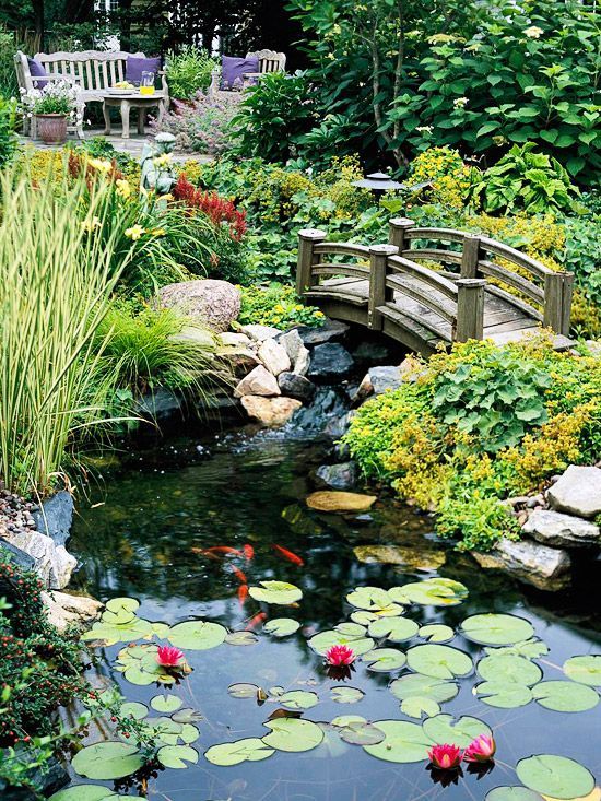 Creating a beautiful oasis with water gardens