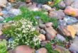 rock garden landscaping