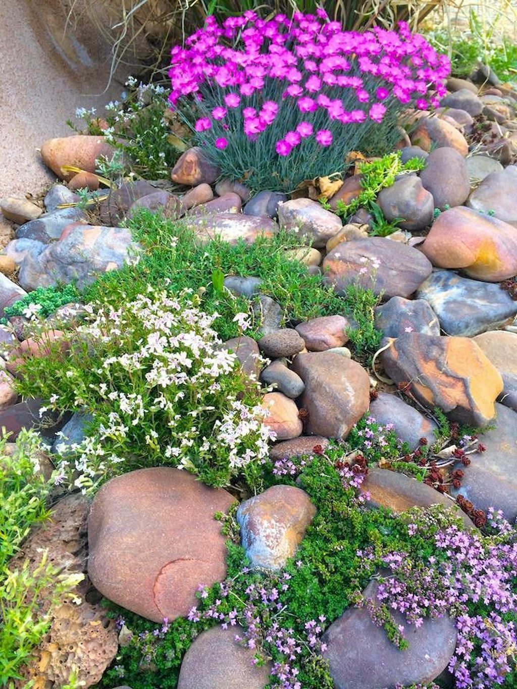 Creating a beautiful rock garden: Tips for stunning landscaping