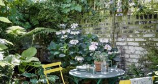 small garden courtyard ideas