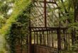 backyard greenhouse