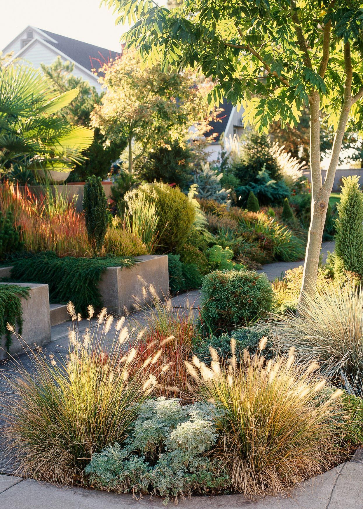 Creating a stunning backyard oasis through landscaping