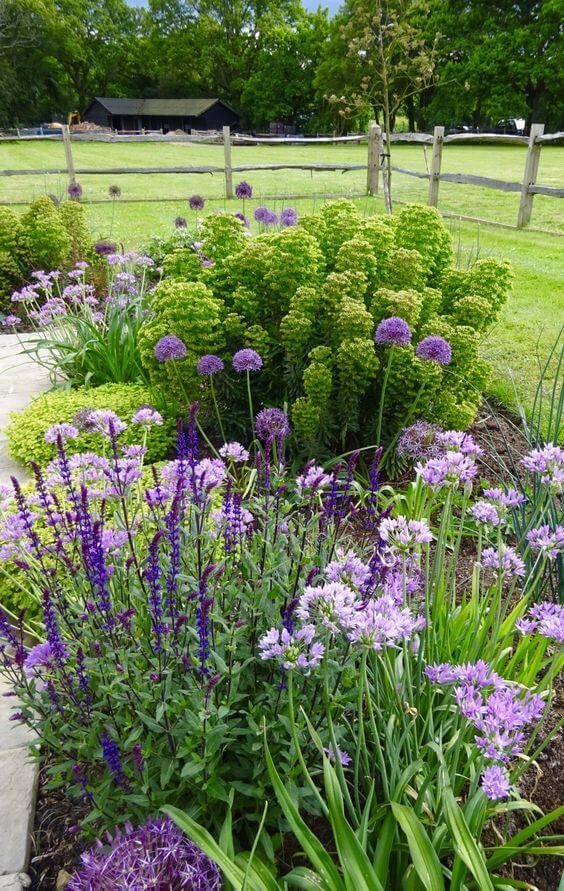 Creating a stunning front lawn landscape: Ideas to elevate your outdoor space