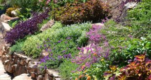 landscaping on a slope