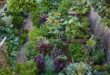 landscaping vegetable garden