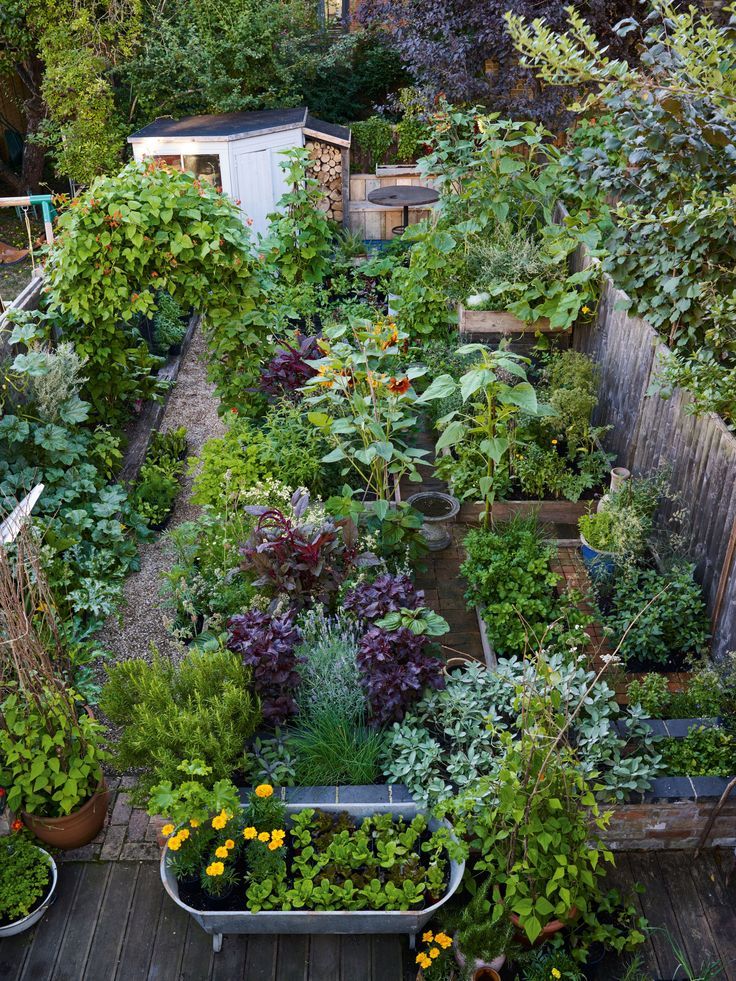 Creating an Abundant Vegetable Garden Oasis with Landscaping