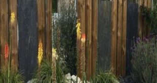 simple backyard landscaping along fence