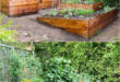 vegetable garden design layout