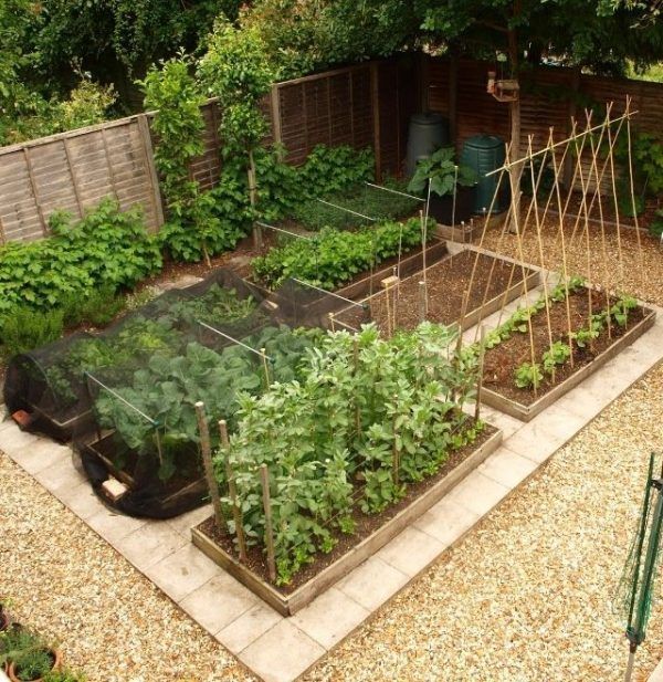 vegetable garden design layout