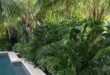 tropical pool landscaping