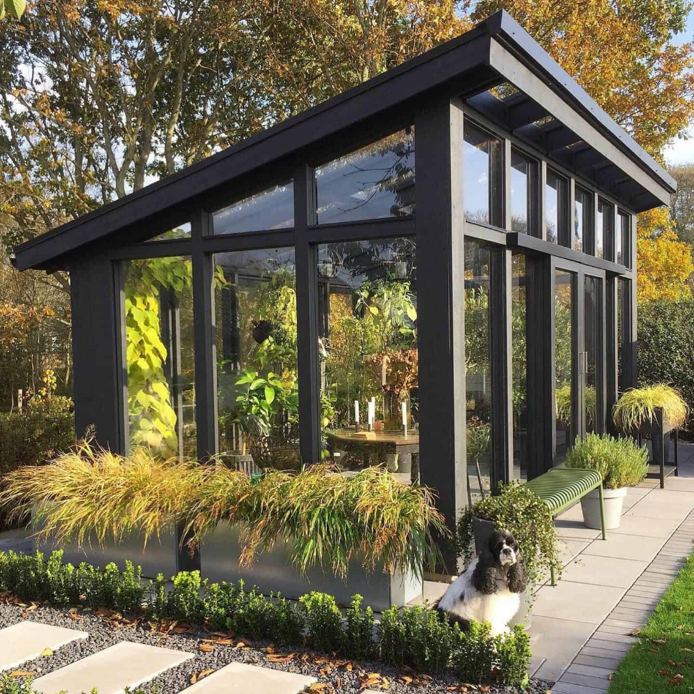 Creating an Oasis: The Magic of Greenhouse Gardens