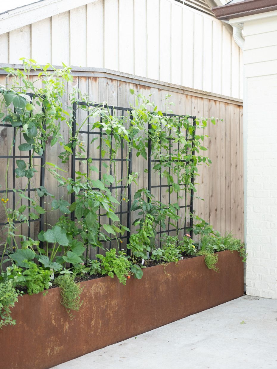 Creating the Perfect Garden Oasis in Tight Spaces