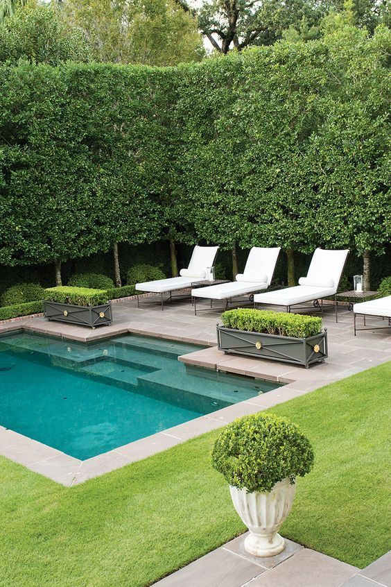 Creating the Perfect Pool: The Art of Pool Design