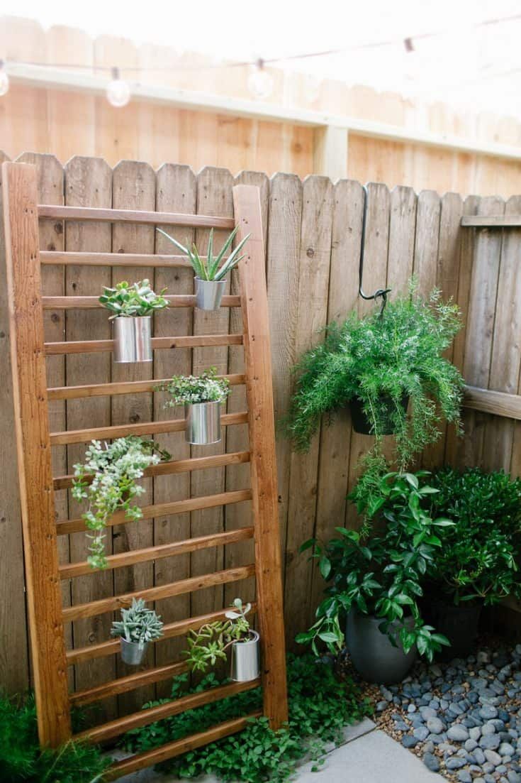 Creative Backyard Garden Ideas to Beautify Your Outdoor Space