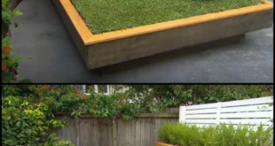 awesome backyard ideas