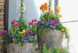 container gardening ideas