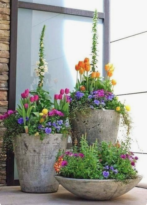 Creative Container Gardening Ideas for Your Home