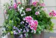 container gardening ideas