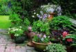 container gardening ideas