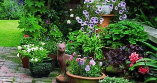 container gardening ideas