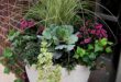 container gardening ideas