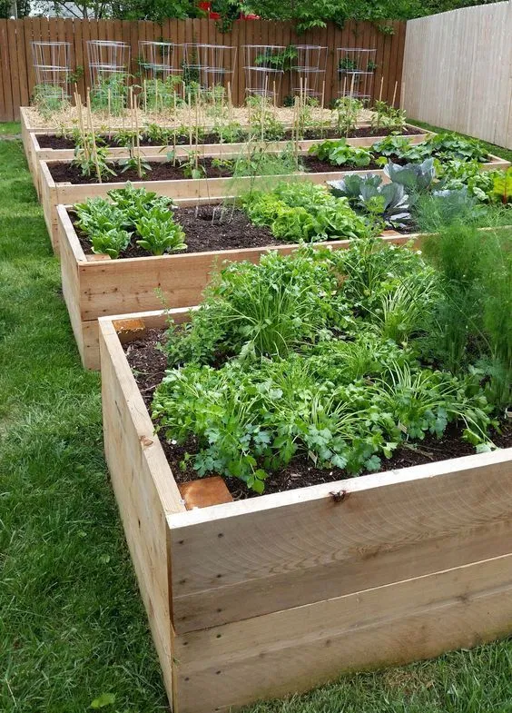 Creative Container Gardening: Inspirational Ideas for Garden Boxes