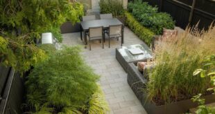 courtyard garden ideas