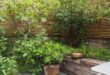 courtyard garden ideas